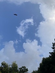 夏の終わり