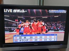 女子バレーボール