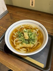 ごぼ天うどん