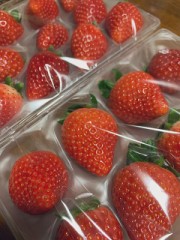 いちごが届いたよ