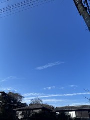 仕事初め