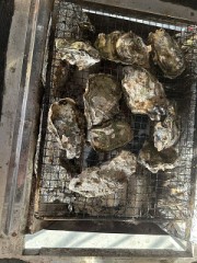 牡蠣パーティー