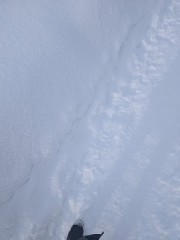 大雪