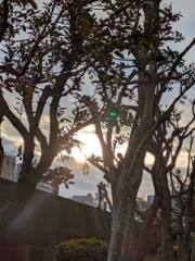 のんびり過ごす1日