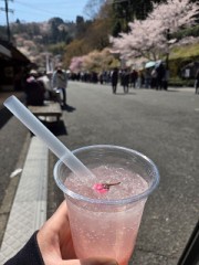 桜まつり