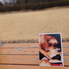 DVDを携えてドライブ