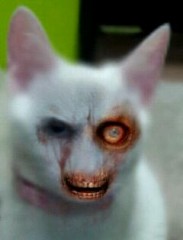 ゾンビ・ブース