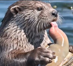 嬉しかったな…