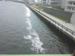 1位？ 決められません！