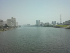 あるような ないような？？？