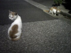 3・11 あの日からのマンガ――忘れないからね！