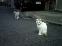 3・11 あの日からのマンガ――『テルマエ・ロマエ』