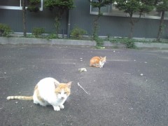 3・11 あの日からのマンガ――ボランティア する人される人