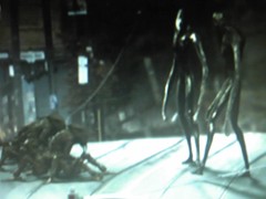 おコタで食べるミカンが一番♪