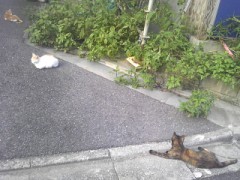 野心家よ 集え！