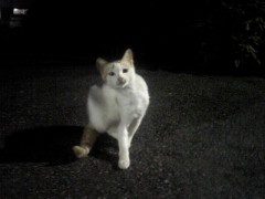 他人の見てはいけない場面に遭遇