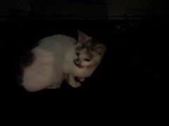 気をつけよう！