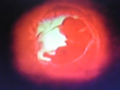 セイコウの条件