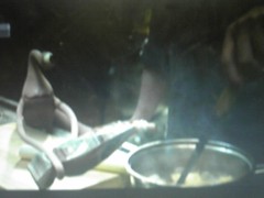 心に羽根を――