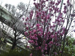 うまく付き合うための133箇条