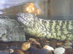 お疲れさまm(__)m