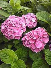 中島みゆき『時代』を捧ぐ