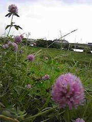 注射針 ナント 7本(￣▽￣;)