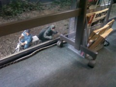 もしかして 真夏日になる！？