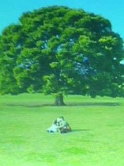 『僕と妻の1778の物語』を観たのは昨日