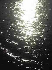 （長文）実写畑とアニメ村の話