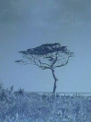 女性のログランキング こんな感じ↓