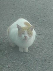 ログ + コメント + レスポンス = ◯◯◯◯