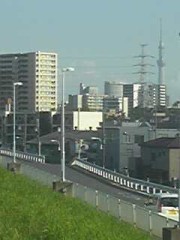 休養が急用で台無しに(;´д｀)