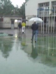 投票に行ってきた