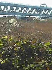 ～ 悪知恵 collection ～