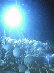 コンビニスイーツもよゐけれど………！