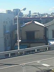 「いったい何人死んだんだあー？」