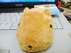 季節の変わり目はダルイ