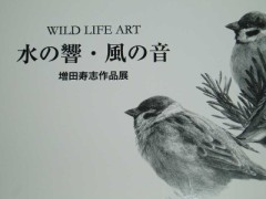 ギャラリーに行ってみた