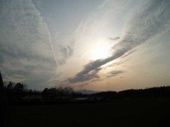 目覚めたら夕日が綺麗だった