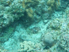 沖縄から帰ってきましたよ♪