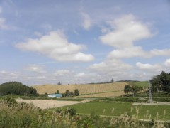 富良野・美瑛ノロッコ号の車窓