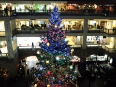 サッポロファクトリーへお買い物