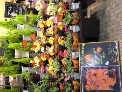  ありがとうございましたヽ(●´ω｀●)ノ