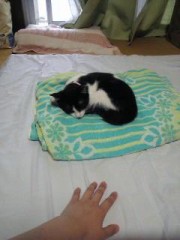 私の癒しっす。