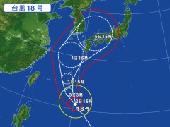 大きくなってるよ
