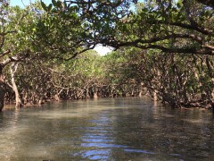 【お題日記】今日のうれしかったこと