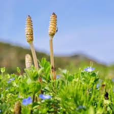 【お題日記】もらったラブレターってどうしてる？