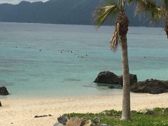 【お題日記】好きなテーブルゲーム