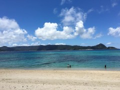 【お題日記】行列で最長何時間待ちした？